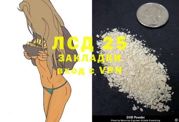 амф Елизово