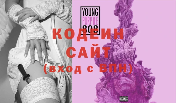 амф Елизово