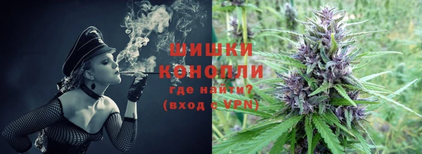 амф Елизово