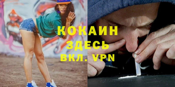 амф Елизово