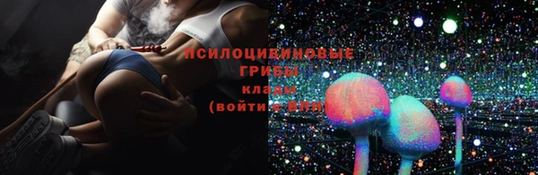 амф Елизово
