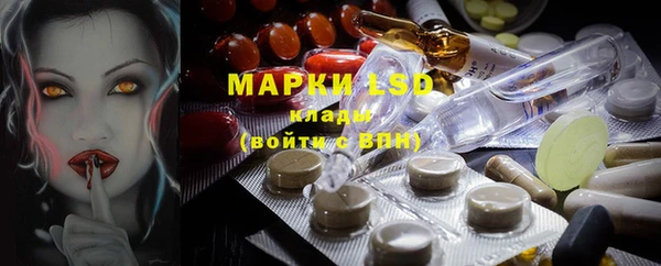 амф Елизово
